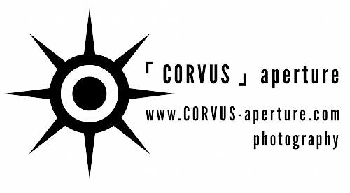 corvus